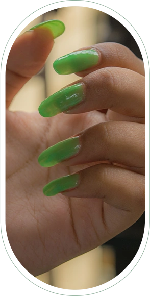 Close up hand holding leaf